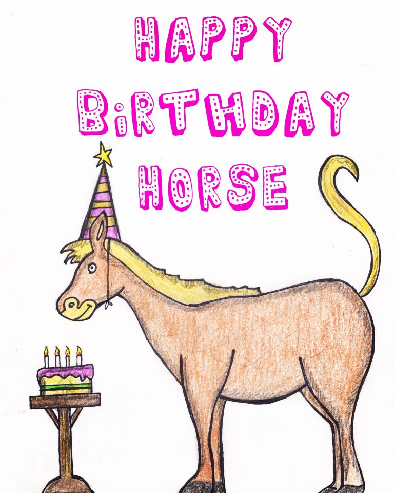 Happy Birthday Horse... 