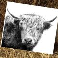 Kelly Hood Cow Art