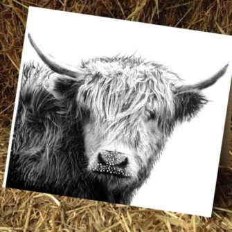Kelly Hood Cow Art